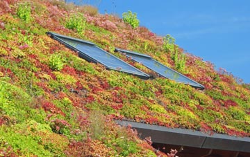 Roby Mill living roof systems