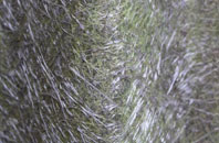 Roby Mill fibreglass roof work